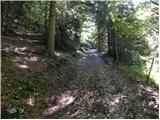 Tinčkova koča - Pautz/Zelenjak
